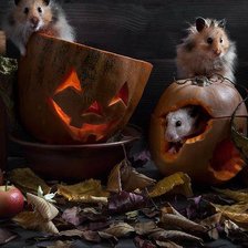 Схема вышивки «хеллоуин»