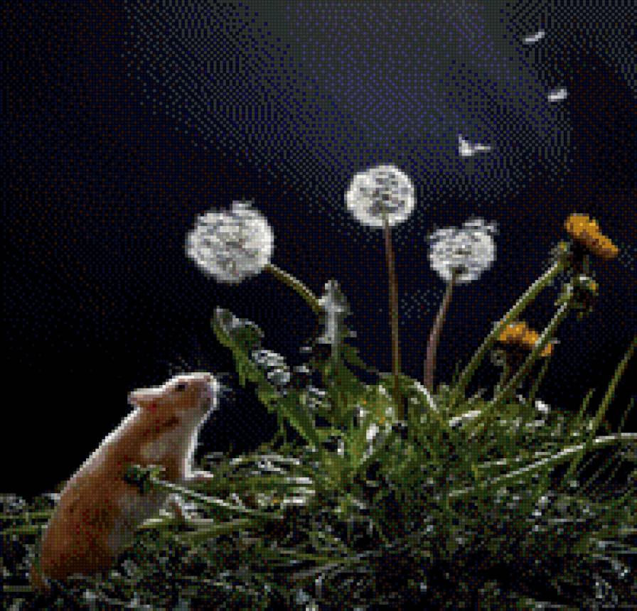 одуванчик - хомяки - предпросмотр