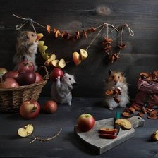 Схема вышивки «запасы на зиму»