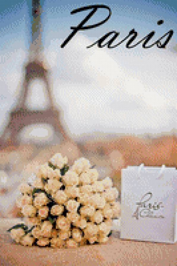 Париж - франция, париж, розы - предпросмотр