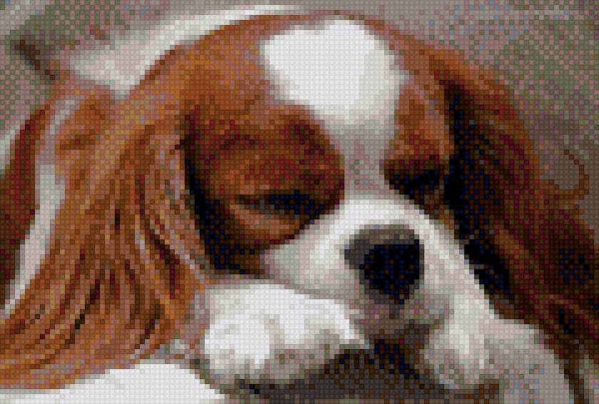 спящий щенок - предпросмотр