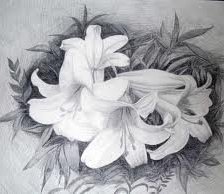 Схема вышивки «№560238»