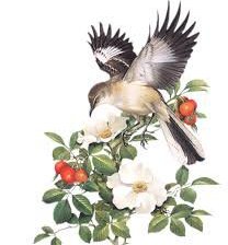 Схема вышивки «№560244»