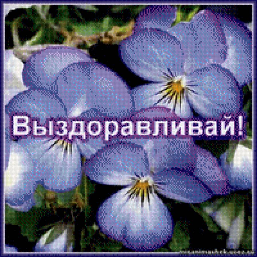 цветы пожелания - цветы. надпись - предпросмотр