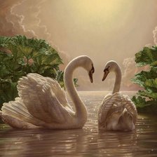 Схема вышивки «Лебеди»