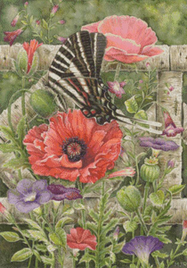 Лето - лето, бабочки, цветы - предпросмотр