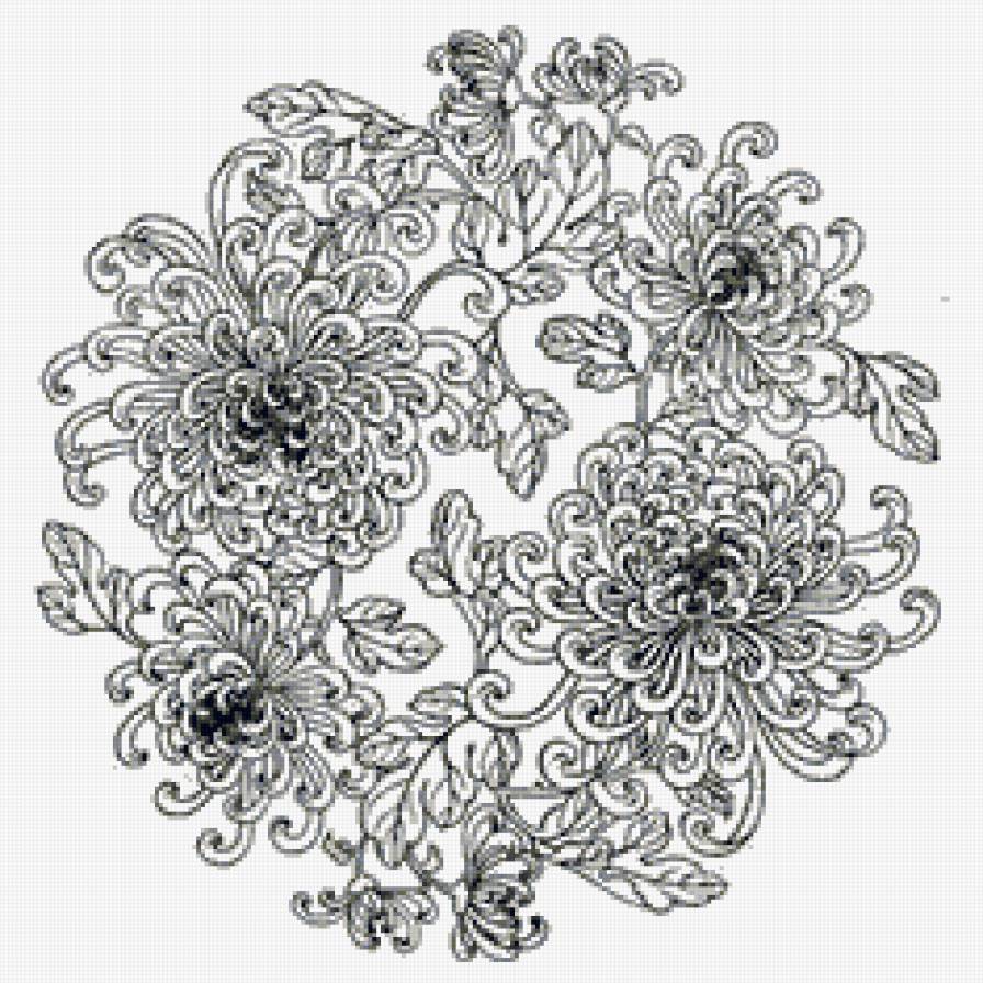 Узор - хризантемы, цветы, узор - предпросмотр