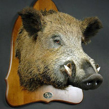 Схема вышивки «№560484»