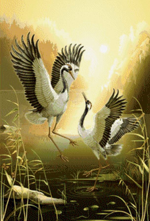 журавли - журавли, водоем, птицы, природа - предпросмотр