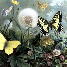 Схема вышивки «лужайка»