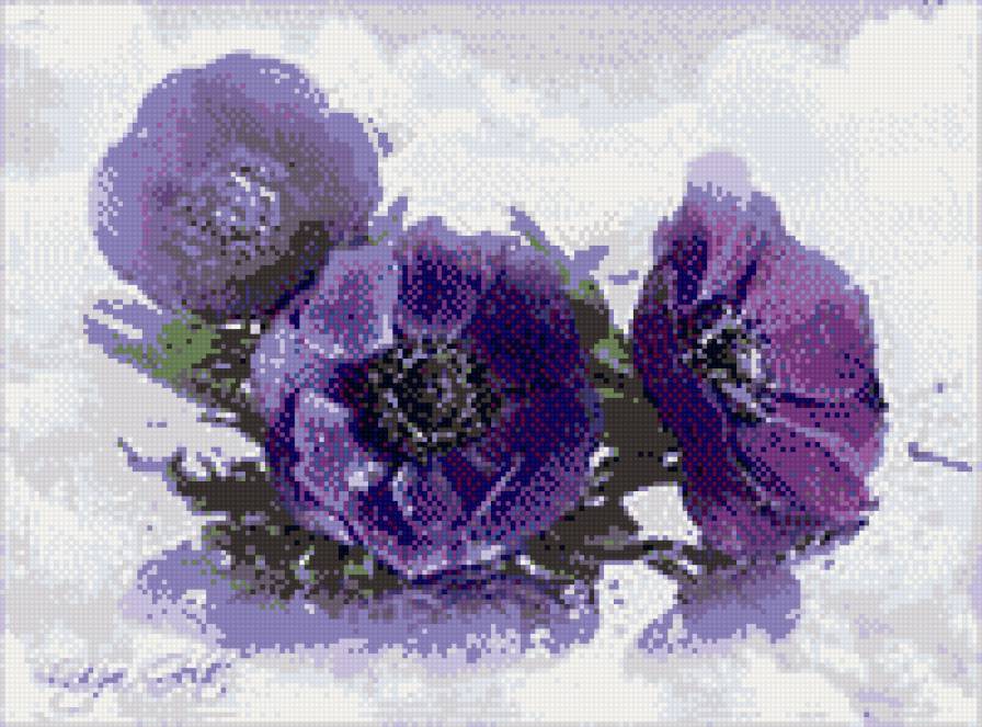 ЦВЕТ НОЧИ - лето, цветы - предпросмотр