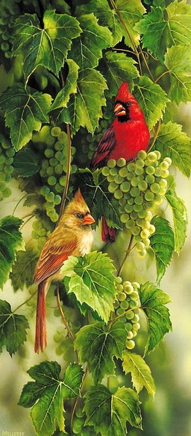 №560700 - животные, птицы, виноград - оригинал