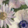 Предпросмотр схемы вышивки «натюрморт белая нежность» (№560738)