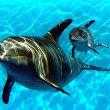 Схема вышивки «Белла и Мирабелла»