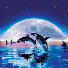 Схема вышивки «Косатки»