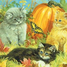 Схема вышивки «я устал собирать тыквы»