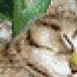 Предпросмотр схемы вышивки «сони» (№560928)