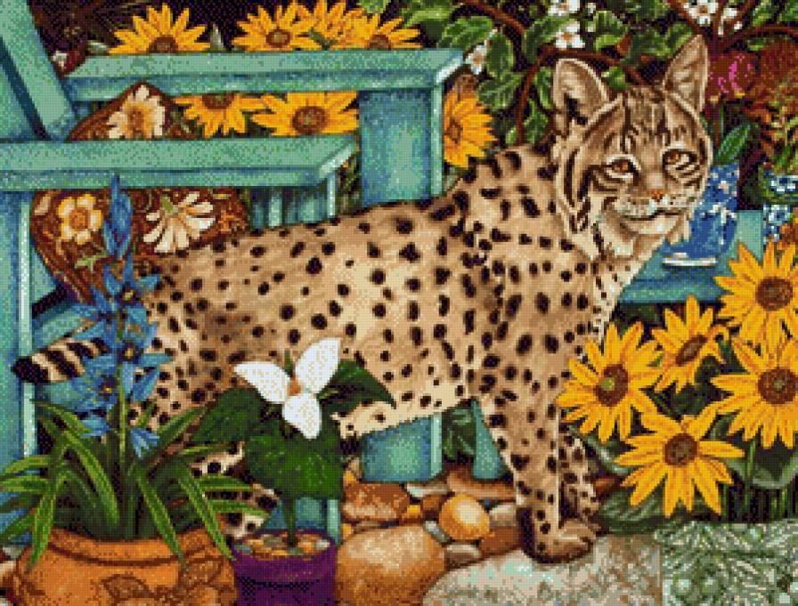 рысь - животные - предпросмотр