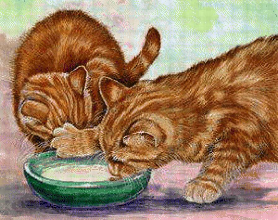 мое - котики - предпросмотр