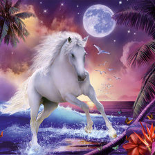 лунный конь