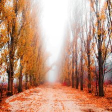 Схема вышивки «пано осень туманная»