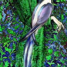 пано девушка с птицей