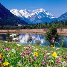 Схема вышивки «№561004»