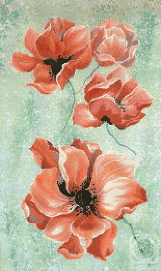 стрелец виктория нежные анимоны - анимоны, цветы - предпросмотр