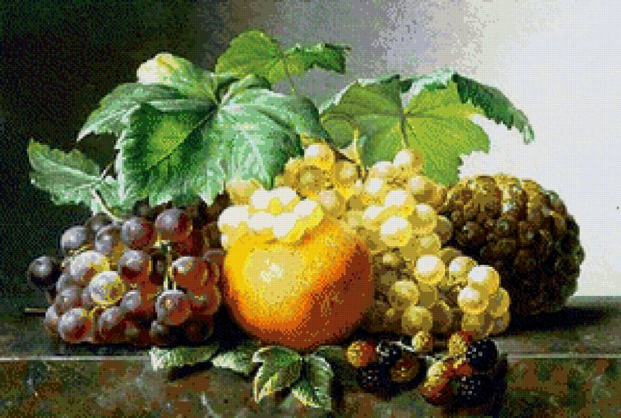 натюрморт - виноград, пано, фрукты, натюрморт - предпросмотр