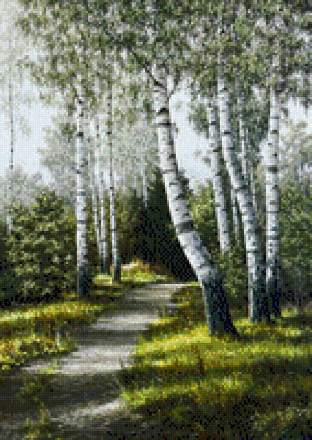 Березы 2 - березы - предпросмотр