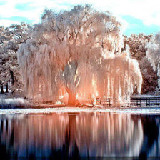 Схема вышивки «красота зимы»