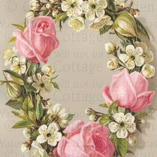 Схема вышивки «№561251»