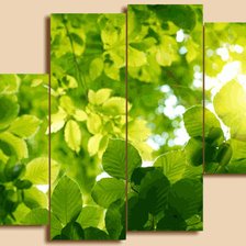 Схема вышивки «№561419»