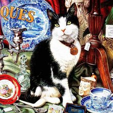 коллекционер