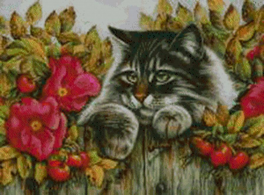 котик - котики - предпросмотр