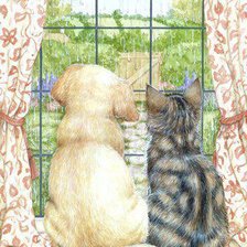 дождь на улице