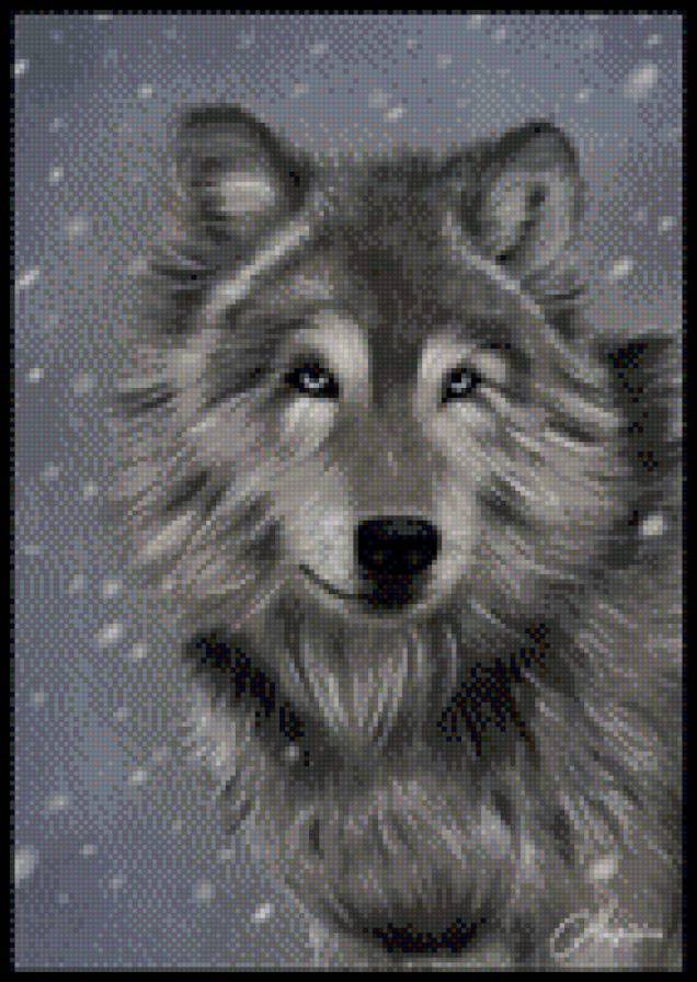 волк - животные, волк - предпросмотр