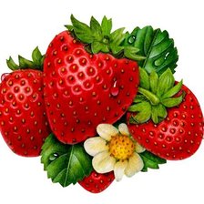 Схема вышивки «№561669»