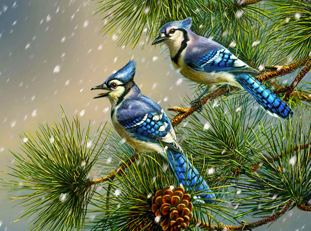 №561676 - птицы, животные - оригинал