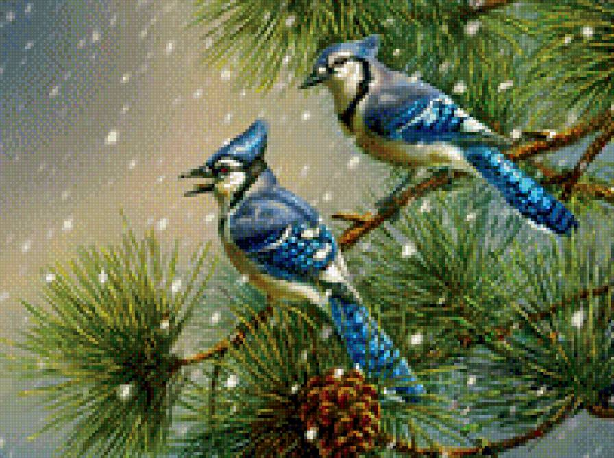 №561676 - животные, птицы - предпросмотр