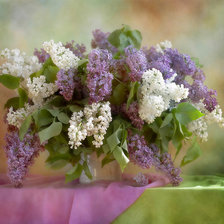 Схема вышивки «букет сирени»