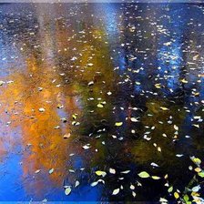 Схема вышивки «Осень в лужах»