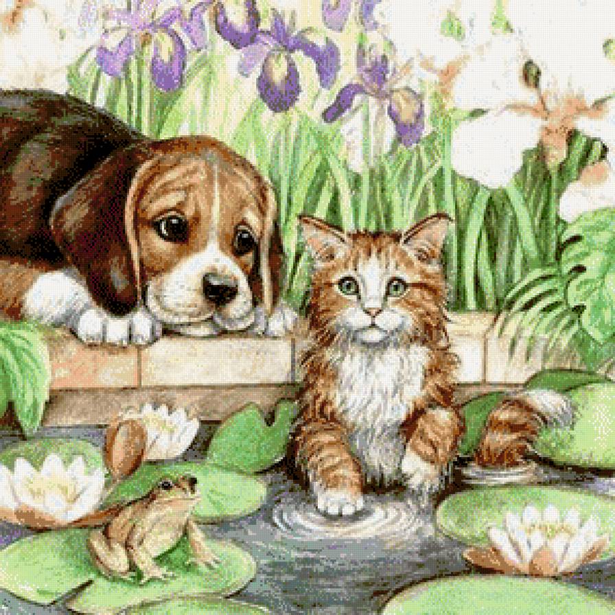 купание - котики - предпросмотр