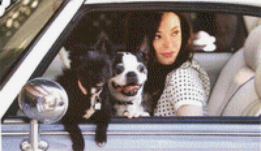 Роуз Макгоун - знаменитости - предпросмотр