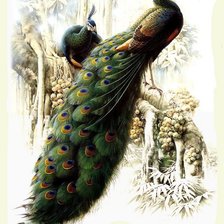 Схема вышивки «птицы»