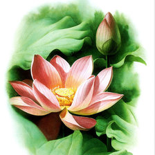 Схема вышивки «цветы»