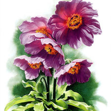 Схема вышивки «цветы»