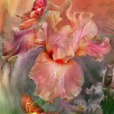 Схема вышивки «птицы»