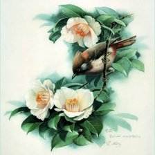 Схема вышивки «птицы»