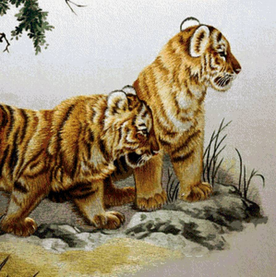 тигрята - природа, тигры, подушка, животные - предпросмотр